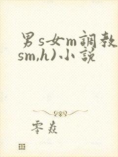 男s女m调教(sm,h)小说