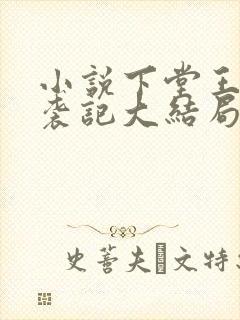 小说下堂王妃逆袭记大结局