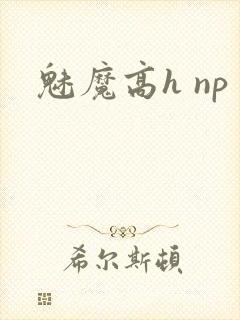 魅魔高h np