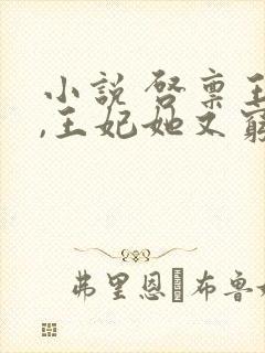 小说 启禀王爷,王妃她又穷疯了