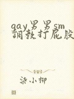 gay男男sm调教打屁股惩罚封面
