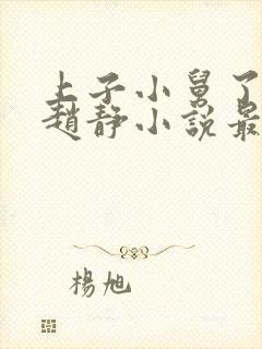 上子小舅了老婆赵静小说最新章节