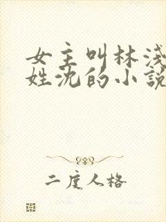 女主叫林浅男主姓沈的小说
