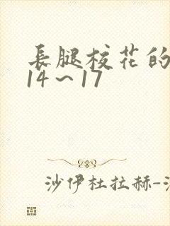 长腿校花的呻吟14～17