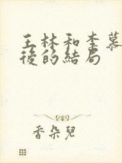王林和李慕婉最后的结局封面