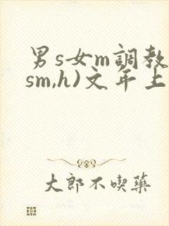 男s女m调教(sm,h)文年上封面