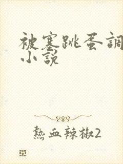 被塞跳蛋调教的小说