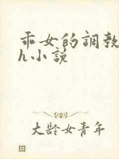 乖女的调教日常h小说封面