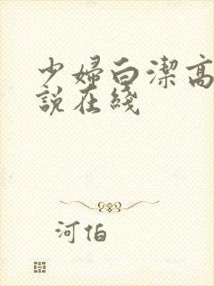 少妇白洁高义小说在线