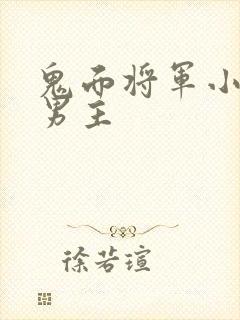 鬼面将军小说双男主