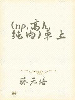 (np,高h,纯肉)车上