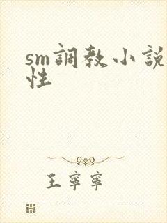 sm调教小说双性封面