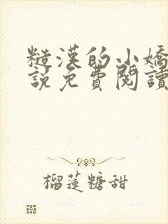 糙汉的小娇娘小说免费阅读封面