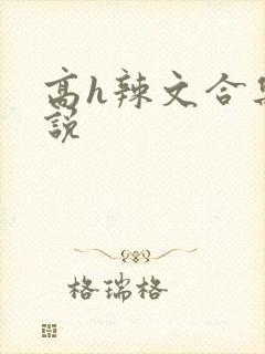 高h辣文合集小说