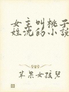 女主叫桃子男主姓沈的小说
