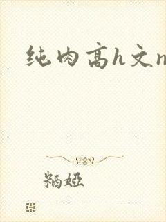 纯肉高h文np