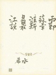 江易淮苏雨眠小说最新章节封面