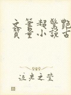 文笔超惊艳的高质量小说古代言情封面