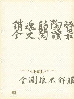 销魂的陶醉小说全文阅读最新章节