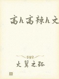 高h高辣h文封面