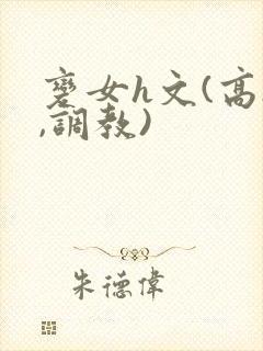 变女h文(高h,调教)