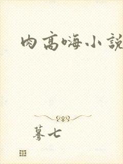 肉高嗨小说封面