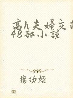 高h夫妇交换第48部小说