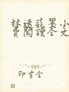 林远苏墨小说免费阅读全文最新章节