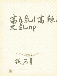 高h乱l高辣h文乱np