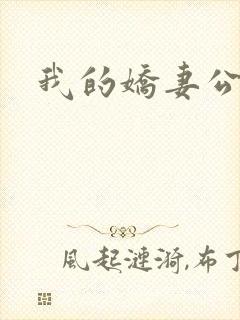 我的娇妻公务员