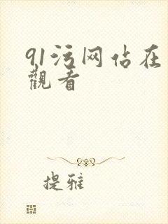 91污网站在线观看封面