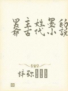 男主姓墨的是王爷古代小说