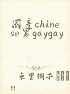 国产chinese男gaygay