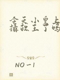 今天小皇上吃到摄政王了吗小说