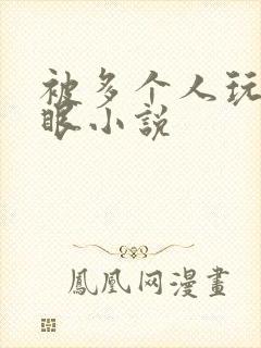 被多个人玩屁股眼小说封面