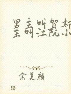 男主叫贺斯聿女主叫江阮小说名字