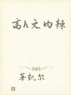 高h文肉辣
