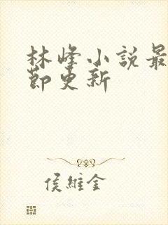 林峰小说最新章节更新