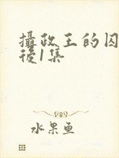 摄政王的囚凰最后1集封面