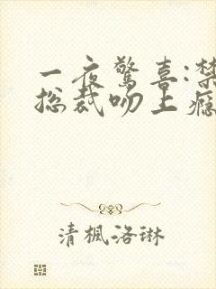 一夜惊喜:禁爱总裁吻上瘾 小说