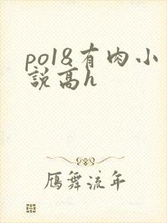 po18有肉小说高h