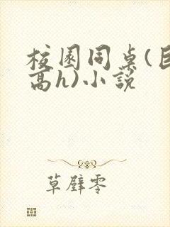 校园同桌(巨肉高h)小说