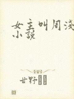 女主叫周浅浅的小说
