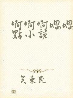 啊啊啊嗯嗯嗯慢点小说封面