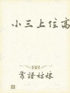 小三上位高h文封面