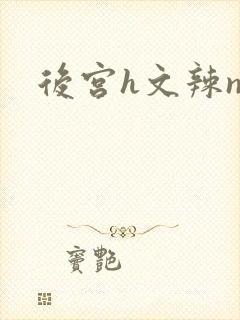 后宫h文辣np