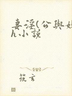 妻淫(公与媳7h小说