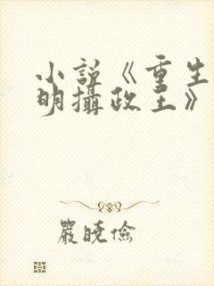 小说《重生之大明摄政王》