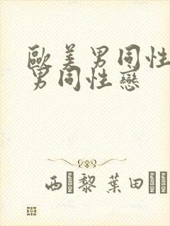 欧美男同性恋操男同性恋