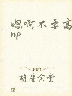 嗯啊不要高h np